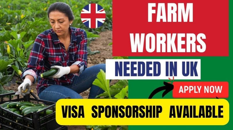 Farm Jobs In UK For Foreigners With Visa Sponsorship